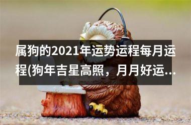 属狗的2025年运势运程每月运程(狗年吉星高照，月月好运来！)