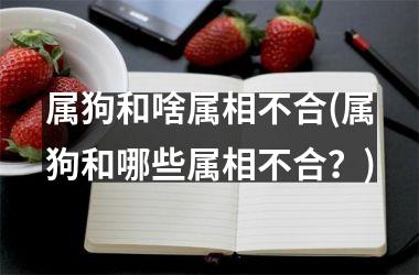 属狗和啥属相不合(属狗和哪些属相不合？)