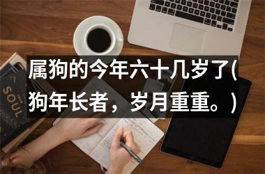 属狗的今年六十几岁了(狗年长者，岁月重重。)