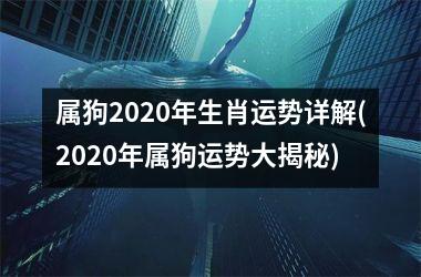 属狗2025年生肖运势详解(2025年属狗运势大揭秘)