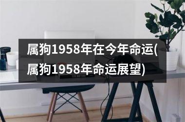 属狗1958年在今年命运(属狗1958年命运展望)