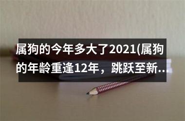 属狗的今年多大了2025(属狗的年龄重逢12年，跳跃至新境界！)