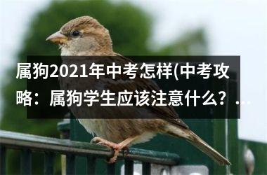 属狗2025年中考怎样(中考攻略：属狗学生应该注意什么？)