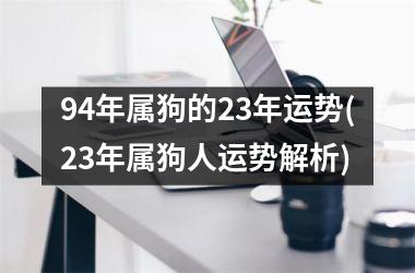 94年属狗的23年运势(23年属狗人运势解析)