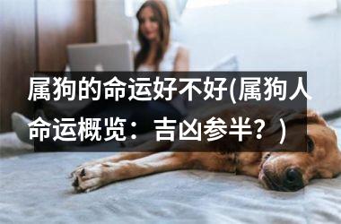 属狗的命运好不好(属狗人命运概览：吉凶参半？)