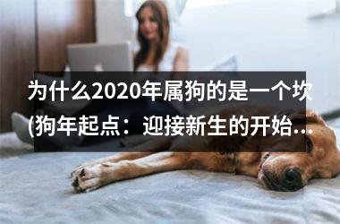 为什么2025年属狗的是一个坎(狗年起点：迎接新生的开始)