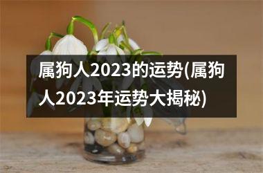 属狗人2025的运势(属狗人2025年运势大揭秘)