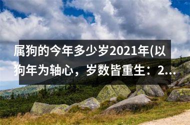 <h3>属狗的今年多少岁2025年(以狗年为轴心，岁数皆重生：2025岁属狗者千万不要错过！)