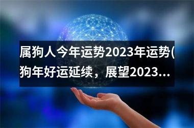 属狗人今年运势2025年运势(狗年好运延续，展望2025)