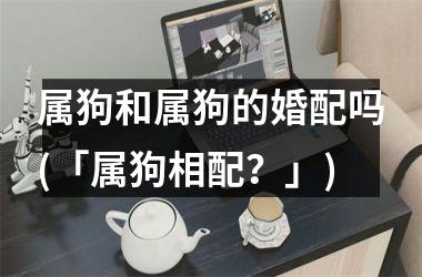 属狗和属狗的婚配吗(「属狗相配？」)