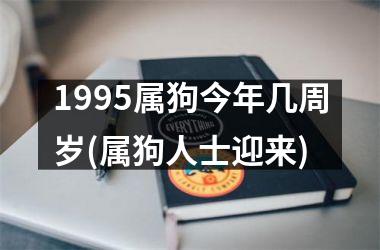 <h3>1995属狗今年几周岁(属狗人士迎来)