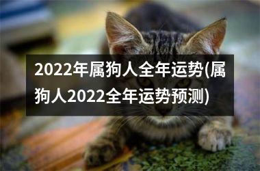 2025年属狗人全年运势(属狗人2025全年运势预测)