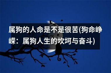 属狗的人命是不是很苦(狗命峥嵘：属狗人生的坎坷与奋斗)