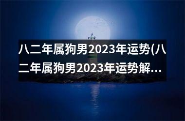 <h3>八二年属狗男2025年运势(八二年属狗男2025年运势解析)