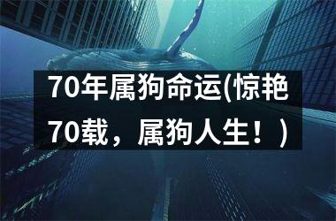 70年属狗命运(惊艳70载，属狗人生！)