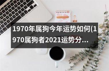 1970年属狗今年运势如何(1970属狗者2025运势分析)