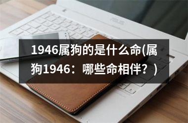 1946属狗的是什么命(属狗1946：哪些命相伴？)