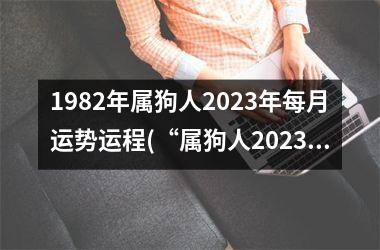 1982年属狗人2023年每月运势运程(“属狗人2023年月运势全解析”)