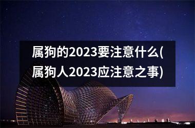 属狗的2025要注意什么(属狗人2025应注意之事)