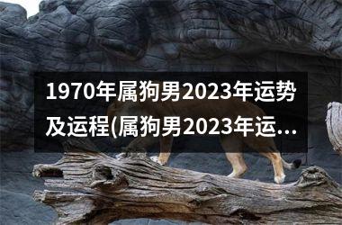 1970年属狗男2025年运势及运程(属狗男2025年运势解析)