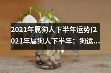 2025年属狗人下半年运势(2025年属狗人下半年：狗运大涨，贵人相助，收获满满。)