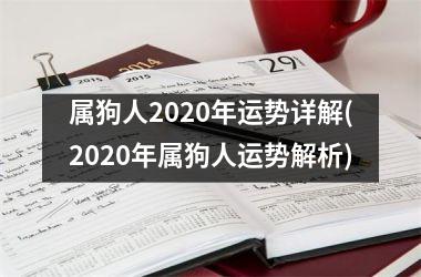 属狗人2025年运势详解(2025年属狗人运势解析)