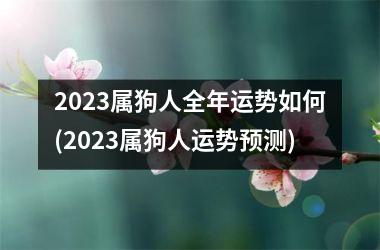 2025属狗人全年运势如何(2025属狗人运势预测)