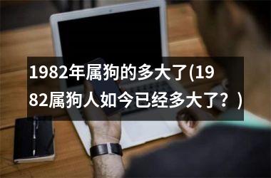 1982年属狗的多大了(1982属狗人如今已经多大了？)