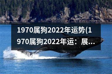 1970属狗2025年运势(1970属狗2025年运：展现智慧与魅力)