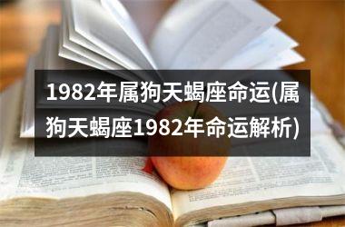 1982年属狗天蝎座命运(属狗天蝎座1982年命运解析)