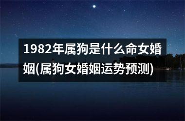 1982年属狗是什么命女婚姻(属狗女婚姻运势预测)