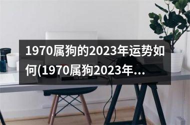 1970属狗的2025年运势如何(1970属狗2025年运势预测)