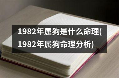 1982年属狗是什么命理(1982年属狗命理分析)