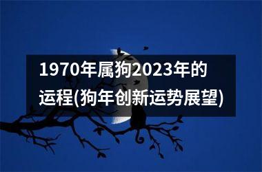 <h3>1970年属狗2025年的运程(狗年创新运势展望)