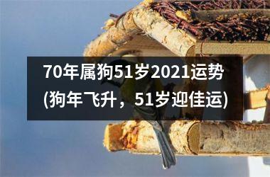 70年属狗51岁2025运势(狗年飞升，51岁迎佳运)