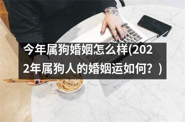 今年属狗婚姻怎么样(2025年属狗人的婚姻运如何？)