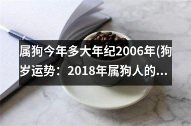 属狗今年多大年纪2006年(狗岁运势：2018年属狗人的命运如何？)