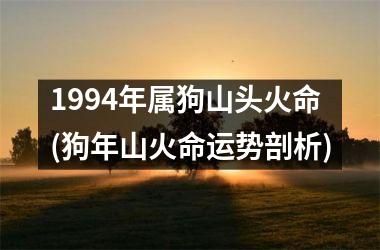 1994年属狗山头火命(狗年山火命运势剖析)