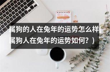 属狗的人在兔年的运势怎么样(属狗人在兔年的运势如何？)