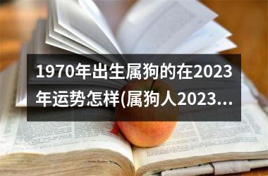 1970年出生属狗的在2025年运势怎样(属狗人2025年运势如何？)