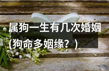 属狗一生有几次婚姻(狗命多姻缘？)