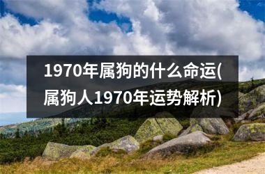 <h3>1970年属狗的什么命运(属狗人1970年运势解析)