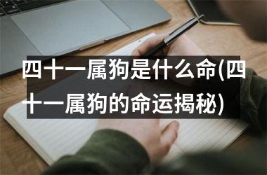 四十一属狗是什么命(四十一属狗的命运揭秘)