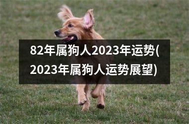 82年属狗人2025年运势(2025年属狗人运势展望)