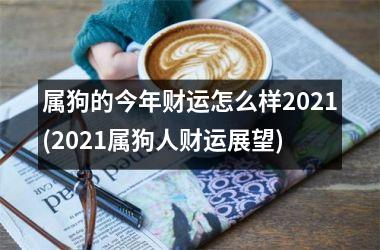 属狗的今年财运怎么样2025(2025属狗人财运展望)