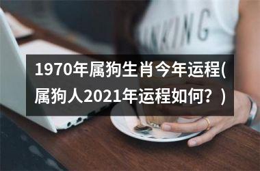 1970年属狗生肖今年运程(属狗人2025年运程如何？)