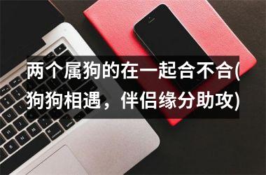 两个属狗的在一起合不合(狗狗相遇，伴侣缘分助攻)