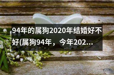 94年的属狗2025年结婚好不好(属狗94年，今年2025合适结婚吗？)