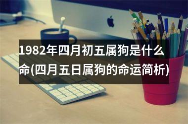 1982年四月初五属狗是什么命(四月五日属狗的命运简析)