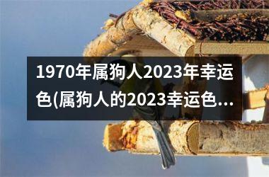 1970年属狗人2025年幸运色(属狗人的2025幸运色预测)